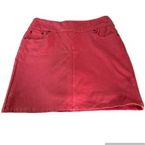 Chadwick’s Skort Size 14T